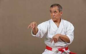 Stage de Karaté et Kobudo - Sensei Oshiro - Février 2024